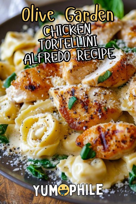 Chicken Tortellini Alfredo Olive Garden Recipe Chicken Tortellini Olive Garden, Copycat Olive Garden Tortellini Alfredo, Olive Garden Tortellini Recipes, Easy Chicken Tortellini Alfredo, Chicken Piccata Tortellini, Olive Garden Meals, Tortellini Alfredo With Chicken, Asiago Tortellini Alfredo With Grilled Chicken Olive Garden, Cheese Tortellini With Alfredo Sauce