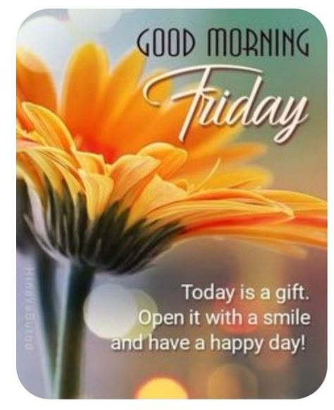 Friday Morning Blessings, Friday Morning Greetings, Happy Friday Morning, Weekly Motivation, Good Friday Morning, Friday Inspirational Quotes, Friday Greetings, Friday Morning Quotes, Morning Family