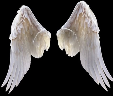 Dad Son Photography, Realistic Wings, Angel Wings Png, Full Hd Background, Picsart Photo Editing, Wings Png, Background Change, Online Photo Editing, Picsart Photo