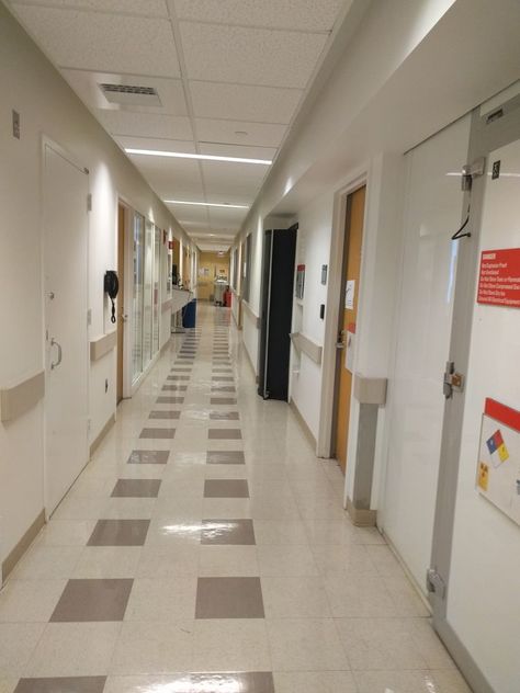 "Major hallways in research building" Boston Children's Hospital | Glassdoor Photos Children’s Hospital, Boston Hospital, Hospital Hallway, Nurse Goals, Hospital Pics, Research Building, Hospital Office, Boston Childrens Hospital, Office Photos