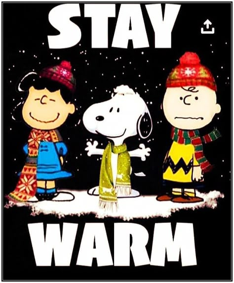 Snoopy Winter, Peanuts Lucy, Peanuts Quotes, Charlie Brown Quotes, Good Morning Snoopy, Woodstock Snoopy, Peanuts Charlie Brown Snoopy, Snoopy Comics, Brown And Friends