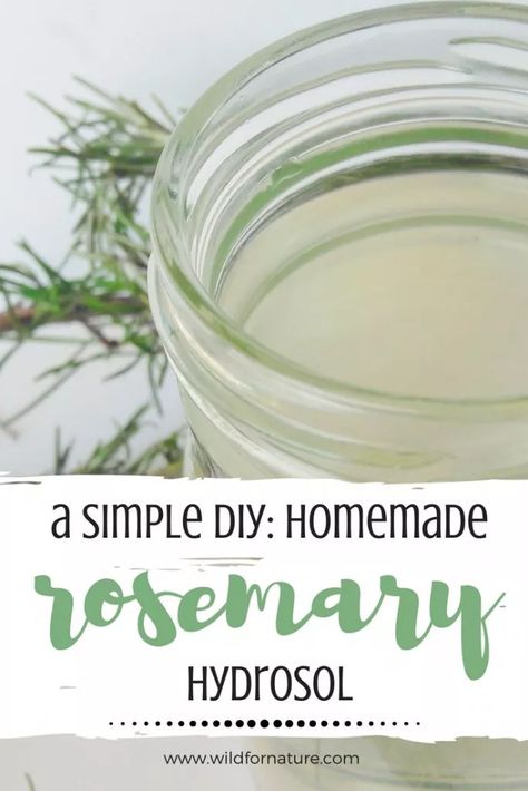 A simple DIY: How to make your own rosemary hydrosol Hydrosol Recipes, Rosemary Salve, Rosemary Hydrosol, Rosemary Water, Natural Makeup Remover, Doterra Oil, Making Essential Oils, Herbs Garden, Homemade Facials