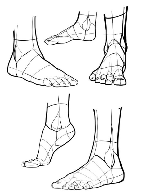 Poses For Artists, Historical Drawings, Foot Anatomy, Feet Drawing, Body Part Drawing, Female Anatomy Reference, Human Anatomy Drawing, Art Basics, Human Anatomy Art