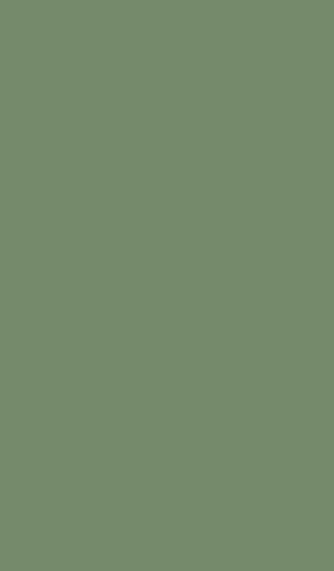 Sage Green Blank Screen, Plain Colour Wallpaper Iphone, Green Story Background, Green Aesthetic Plain Background, Sage Green Wallpaper Plain, Green Aesthetic Plain, Dark Green Background Plain, Green Bg Plain, Dusty Green Color Palette