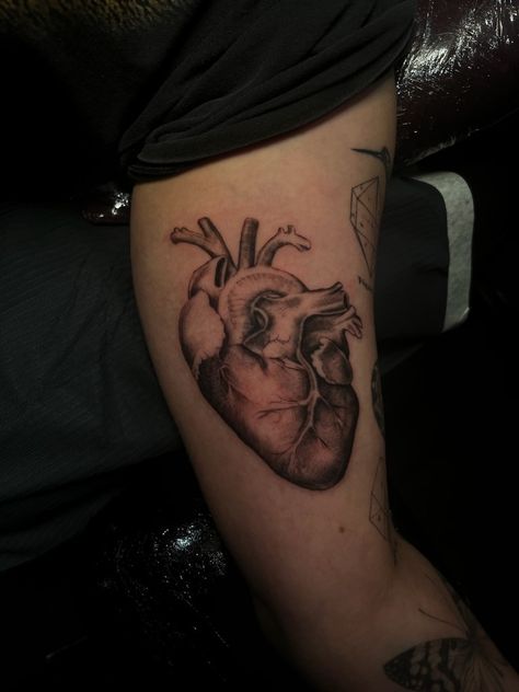 Anatomical heart tattoo Human Heart Tattoo Designs, Heart On Your Sleeve Tattoo, Anatomical Heart Chest Tattoo, Realistic Heart Tattoo Color, Heart On Sleeve Tattoo, Unique Anatomical Heart Tattoos, Anatomical Tattoo, Anatomically Correct Heart Tattoo, Anatomical Heart Tattoo Color