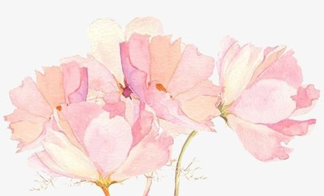 수채화 그림, Watercolor Wallpaper, Floral Iphone, Watercolor Flower, Pink Watercolor, Wallpaper Downloads, Flower Backgrounds, Pink Wallpaper, Flower Wallpaper