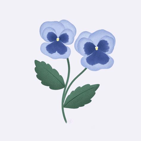 Some pansies for the first day of May! (How is it May already?) #doodleadaymay . . . . #pansies #pansy #pansyillustration #digitaldoodle #flowerdrawing #illustration #digitalillustration #ipadart #adobefresco #dottieandcaro Pansy Drawing, Pansy Drawing Simple, Pansy Flower Logo, Pansy Doodle, Pansy Illustration, Pansies Botanical Illustration, Wild Pansy Drawing, Pansies Art, Pansies Flowers