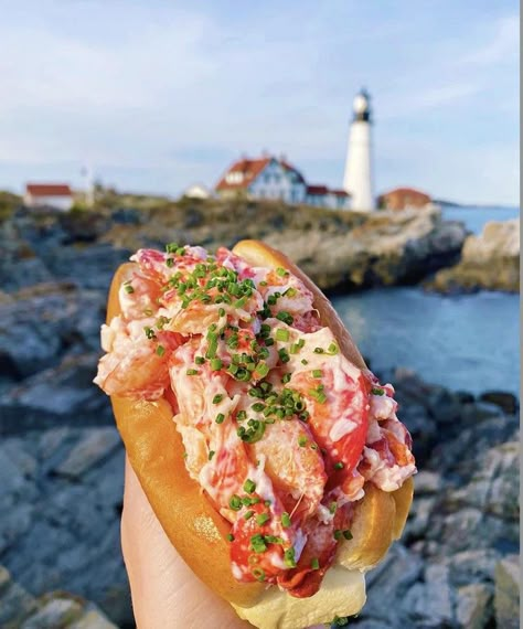 Lobster Aesthetic, New England Seafood, New England Food, Maine Restaurants, Nantucket Aesthetic, Steamed Clams, Best Lobster Roll, England Summer, Food World