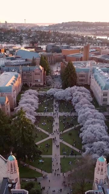 University Of Washington Seattle Campus, Seattle Pacific University, Uw University Of Washington, University District Seattle, University Of Washington Campus, U Of T Aesthetic, Uw Seattle Aesthetic, University Of Washington Seattle Aesthetic, Washington University Aesthetic