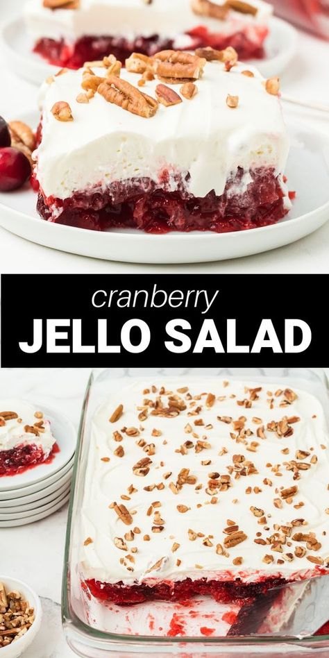 The Novice Chef Recipes Desserts, Cranberry Jello Mold With Cream Cheese, Jello Ribbon Salad Christmas, Hello Cranberry Salad, Cranberry Sour Cream Jello Salad, Cranberry Apple Jello Salad Recipe, Cranberry Cherry Jello Salad, Cherry Cranberry Jello Salad, Cranberry Jello Fluff Salad