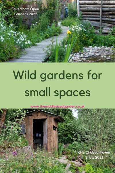 Wild gardens for small spaces Wild Garden Ideas Landscaping, Modern Wild Garden, Small Sustainable Garden, Backyard Habitat Ideas, Small Naturalistic Garden, Small Back Gardens Uk, Natural Wild Garden, Small Garden Layout Design, Small Wild Garden