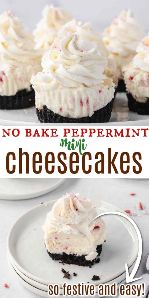 Christmas Desserts To Bring To A Party, Holiday Desserts Healthy, Oreo Peppermint Cheesecake Bites, Christmas Desserts With Peppermint, Mini Christmas Deserts, Christmas Deserts Recipes Elegant, Healthy Mini Cheesecakes, Peppermint Chocolate Cheesecake, Christmas Dessert Easy Quick