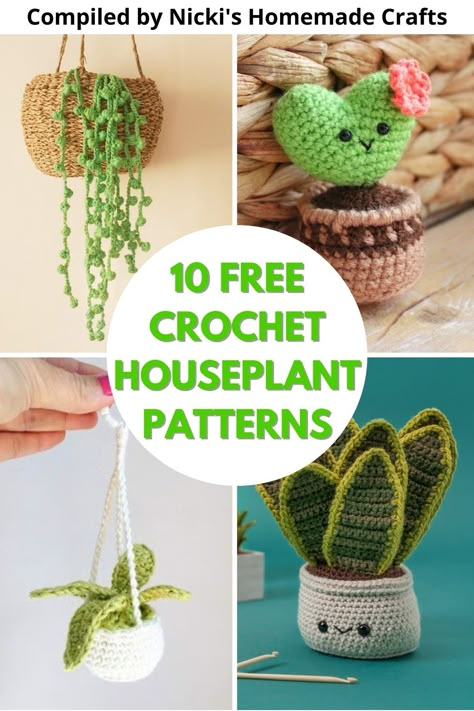 This is a compilation of 10 free crochet houseplant patterns. Decorate your space with these lovely plants that will live forever. Crochet Plant Mirror Hanger, Diy Crochet Plants, Crochet Patterns Succulents, Crochet Cactus In Pot Free Pattern, Hanging Plants Crochet Pattern Free, Crochet Projects Plants, Crochet Succulent Keychain, Amigurumi Free Pattern Plant, Crochet Hanging Succulent Pattern Free