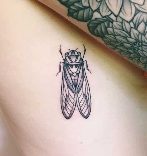 Cicada Flash Tattoo, American Traditional Cicada Tattoo, Simple Cicada Tattoo, Cicada Tattoo Traditional, Traditional Cicada Tattoo, Cicada Tattoo Design, Cicada Tattoo, Beetle Tattoo, Traditional Tattoo Flowers