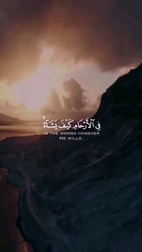 Beautiful Quran Ayat With Translation, Short Quranic Verses With Translation, Quraani Aayat Video, Quran With Translation, Recitation Of Quran, Quran Tilawat, Quran Ayat, Quran Wallpaper, Praise The Sun