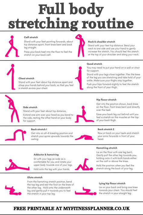 Beginner Stretches, Best Stretching Exercises, Full Body Stretching Routine, Daily Stretching Routine, Post Workout Stretches, Body Stretching, Daily Stretches, Stretching Routine, Full Body Stretch