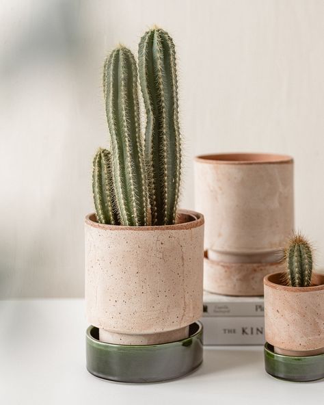 Plants Decoration Ideas, Cactus Aesthetic, Diy Planters Pots, Pottery Cafe, Clay Plant Pots, Pottery Plant Pot, Plant Pot Design, Handmade Ceramic Planters, Pottery Pots