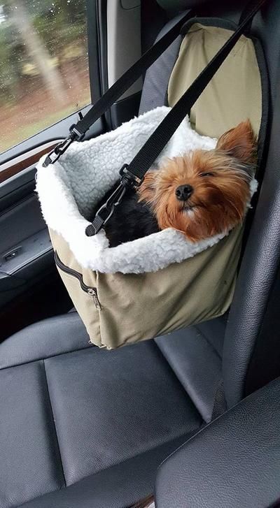 Dog Accesories, Puppy Accessories, Dog Car Seat, Booster Car Seat, Dog Car Seats, Dog Car, Diy Stuffed Animals, Pet Stuff, Diy Dog Stuff