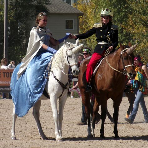 Horse Fancy Dress Ideas: Cinderellla and Prince Charming Horse Fancy Dress Costume, Horse Fancy Dress, Horse Halloween Costumes, Fancy Dress Ideas, Horse Costume, Christmas Fancy Dress, Horse Costumes, Horse Dress, Black Halloween Dress