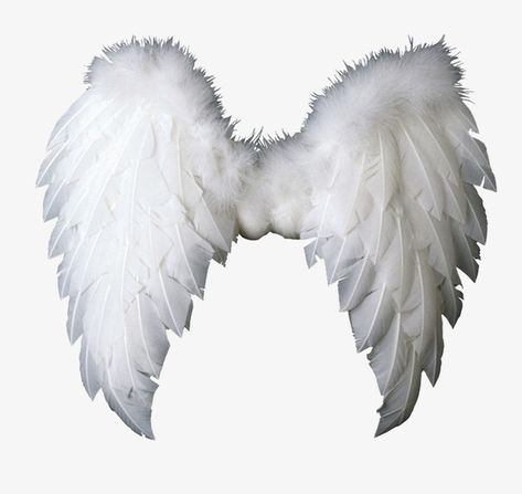 Angel Wings Clip Art, Angel Wings Png, Baby Angel Wings, Angel Wings Drawing, Angel Clipart, Angel Vector, Tumblr Png, Png Pictures, Wings Png