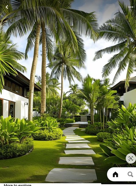 Bali Landscape Tropical Gardens, Bali Villa Landscape, Tropical Resort Landscape Design, Rectangular Backyard Ideas, Resort Pathway, Villa Garden Design Landscaping, Landscaping With Palms, Palm Tree Landscape Ideas, Palm Tree Garden Ideas