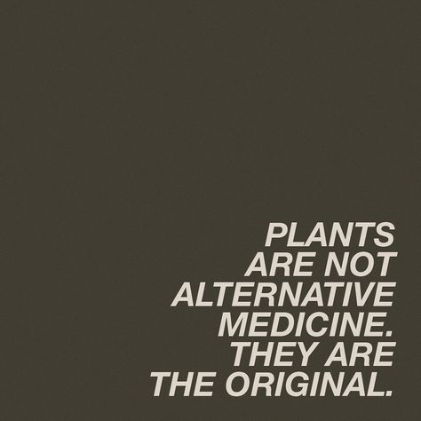 Earth & body medicine for today 🌎👣🐢 via 1. There´s more wisdom in your body than in your deepest philosophy. -Nietzsche 2. Plants are not alternative medicine. They are the original. @marysia_miernowska. 3. Calm is felt in the body, not in the mind. @kardenrabin 4.Each thought is a luminary, circulate them wisely. @__propheta__ Plant Medicine Quotes, Plant Medicine Aesthetic, Philosophy Nietzsche, Medicine Quotes, Plants Quotes, Plant Medicine, Naturopathic Medicine, Easy Canvas, Lifestyle Motivation