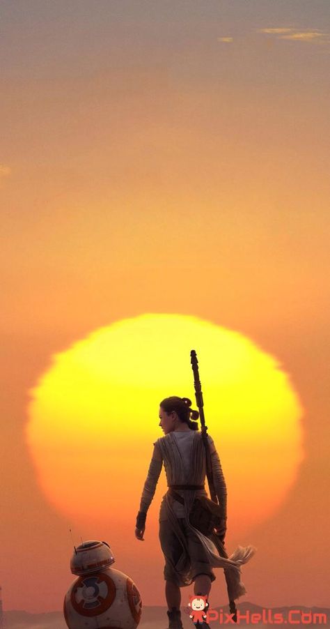 Wallpapers For Samsung Galaxy Z Flip 3 Ray Star Wars, Star Wars Wallpaper Iphone, Star Wars Rey, Star Wars Meme, Star Wars Bb8, Star Wars Background, Star Wars Character, Star Wars Quotes, Episode Vii