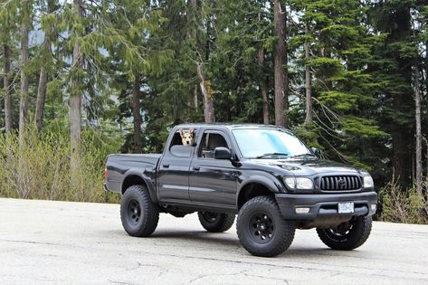 Taco Dogs | Page 2 | Tacoma World First Gen Tacoma, Tacoma World, Plott Hound, Tacoma Truck, Pismo Beach, Toyota Trucks, Weather Tech, Cold Air Intake, First Car