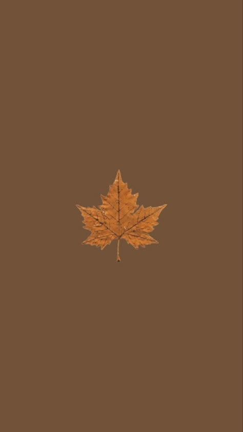 Matching Autumn Wallpapers, Autumn Wallpaper Iphone Aesthetic Simple, Early Autumn Wallpaper, Fall Theme Iphone Wallpapers, Autumn Astetic Wallpaper, Brown Autumn Wallpaper, Fall Theme Iphone, Fall Aesthetic Wallpaper Simple, Simple Autumn Wallpaper