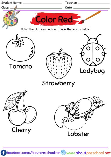 Color Red Activities, Color Worksheet, Preschool Color Activities, Color Worksheets For Preschool, Pre K Worksheets, Kindergarten Colors, Kindergarten Coloring Pages, Kids Worksheets Preschool, Preschool Coloring Pages