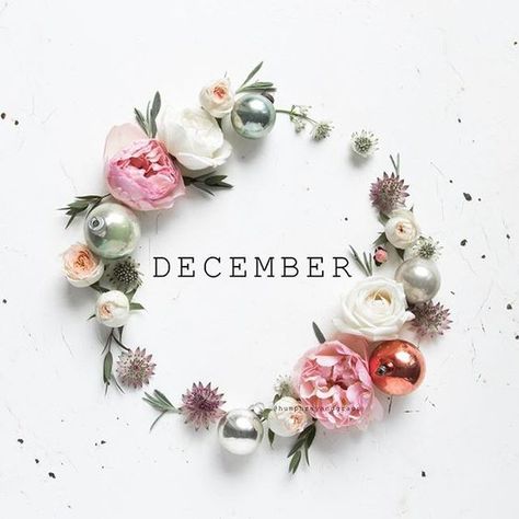 .December floral & ornamental wreath. Hello December Tumblr, December Tumblr, Hello December Images, December Images, Stampin Up Weihnachten, Welcome December, December Wallpaper, Hello November, Happy December