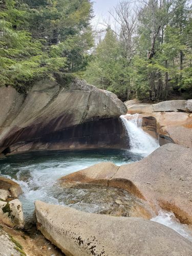 10 Best hikes and trails in White Mountain National Forest | AllTrails Adam's Peak, White Mountain National Forest, Winter Skiing, Forest And Wildlife, The Appalachian Trail, Mt Washington, Long Trail, Black Bears, Mountain Trail