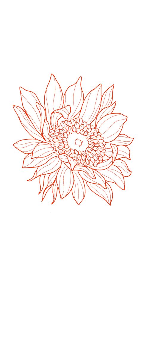 Sunflower Tattoo Design Shoulder, Wild Sunflower Drawing, Sunflower Vine Drawing, Tattoo Stencil Outline Flowers, She Is Art Tattoo Stencil, Rose And Sunflower Drawing, Sun Flower Line Drawing, Sunflower Drawing Outline, Sunflower Honeycomb Tattoo