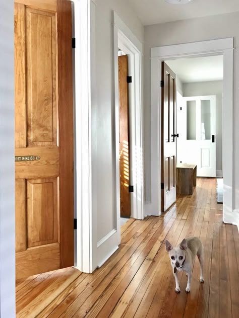 Let The Duplex Rebuilding Begin! | Young House Love Wood Doors White Trim, White Baseboards, Stained Trim, Beach House Tour, Stained Doors, Oak Trim, Pine Doors, Young House Love, Real Estat