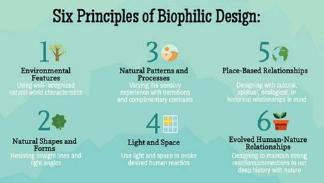 6-principles-of-biophilic-design-snapshot - Plantscapers Biofilic Design, Biophilic Architecture, Design Diagram, Eco Architecture, Architecture Concept Diagram, Biophilic Design, Green Architecture, Architecture Design Concept, Architecture Portfolio