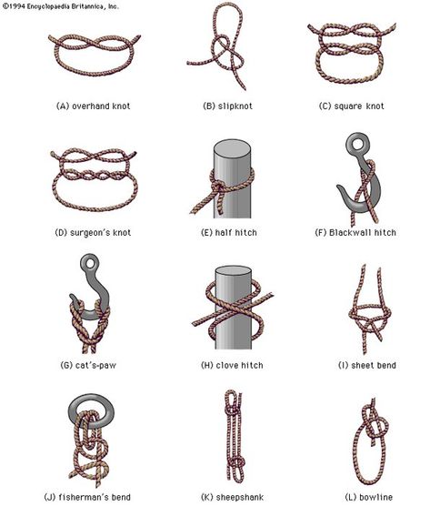 Clove hitch | knot | Britannica Tie A Bracelet, Clove Hitch Knot, Climbing Knots, Hitch Knot, Windsor Knot, Types Of Knots, Loop Knot, Best Knots, Neck Tie Knots