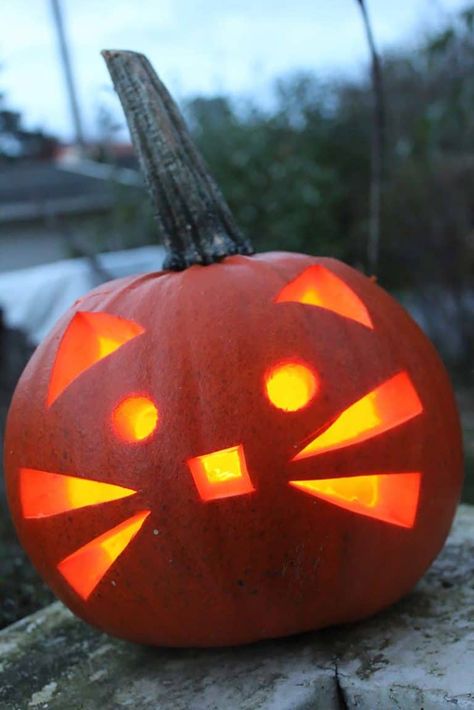 27 Unbelievably Clever Pumpkin Carving Ideas For Halloween Cat Pumpkin Carving, Cute Pumpkin Carving, Pumkin Carving, Halloween Pumpkin Carving Stencils, Pumpkin Carving Party, Creative Pumpkin Carving, Easy Pumpkin Carving, Pumpkin Carving Designs, Chat Halloween