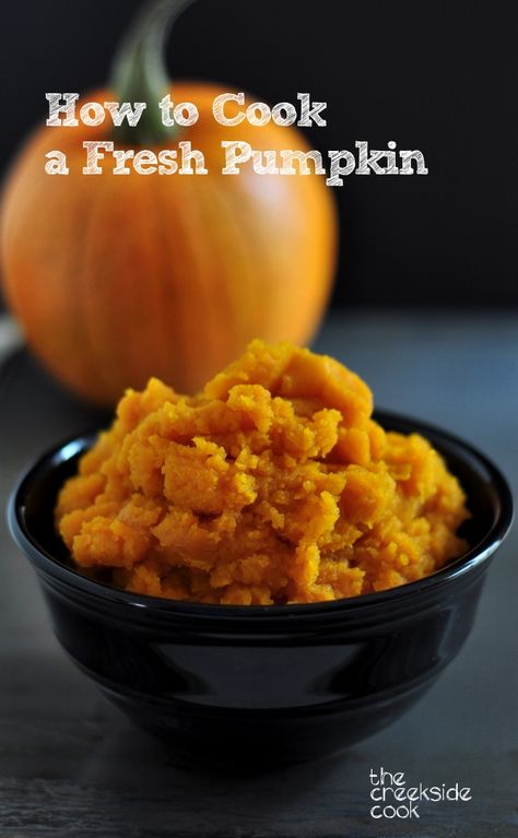 Almost time for Thanksgiving - cook a pumpkin to use for pies, muffins, cakes and cookies.  It's easy!  How to Cook a Fresh Pumpkin - The Creekside Cook Cook Fresh Pumpkin, Cook Pumpkin, Fresh Pumpkin Pie, Pumpkin Eater, Cooking Pumpkin, Fresh Pumpkin, Cakes And Cookies, Pumpkin Dessert, Holiday Cooking