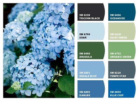 Blue Hydrangea Inspiration Palette Chip It! by Sherwin-Williams – ChipCard by Christy C. Hydrangea Color Palette, Blue Paint Color, Exterior Color Palette, Hydrangea Blue, Hydrangea Colors, Paint Color Palettes, Sherwin Williams Paint Colors, Color Psychology, Blue Hydrangea