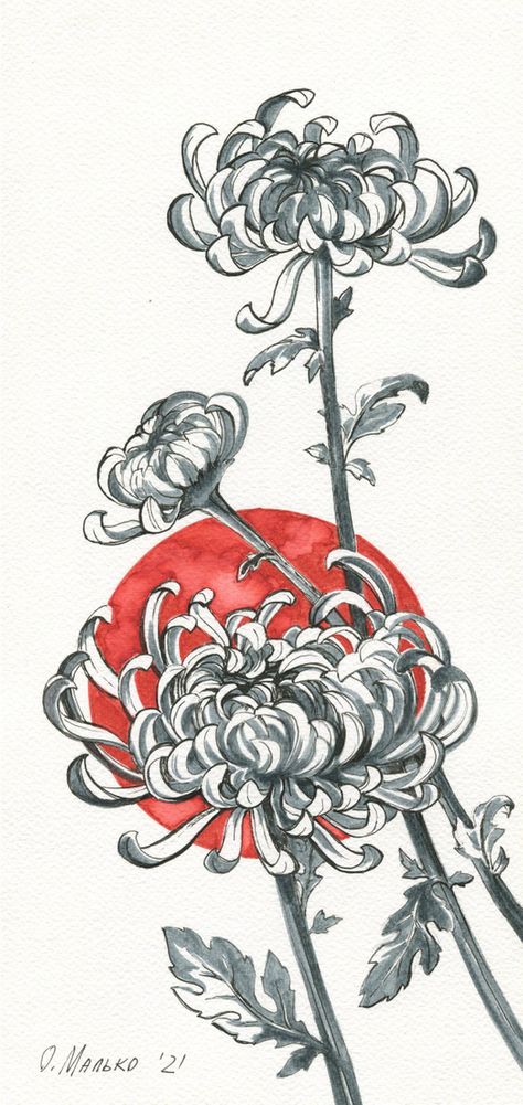 Chrysanthemum on the background of the Rising Sun / Original graphic picture. Japanese style. Floral wall art. Office design. Hand drawing picture. Autumn flower (2021) Drawing by Olha Malko Japanese Chrysanthemum Drawing, Rising Sun Drawing, Japanese Flowers Drawing, Japanese Flowers Tattoo, Art Office Design, Chrysanthemum Drawing, Brush Pen Drawing, Picture Autumn, Floral Design Drawing