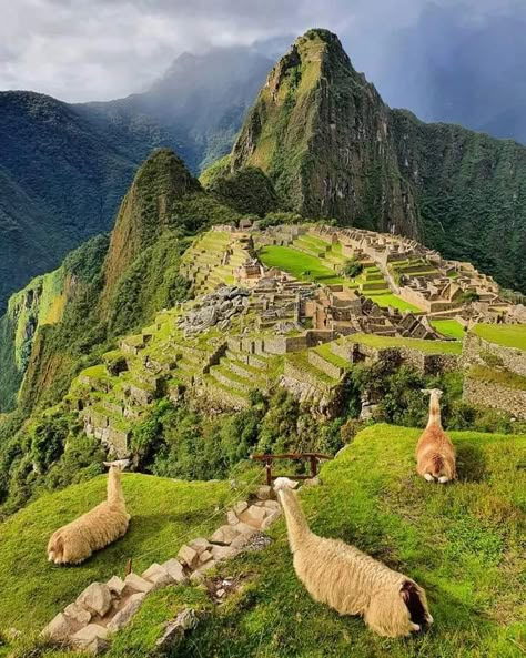 Peru Trip, Machu Picchu Peru, Vientiane, Peru Travel, South America Travel, Machu Picchu, Beautiful Places To Travel, Pretty Places, America Travel