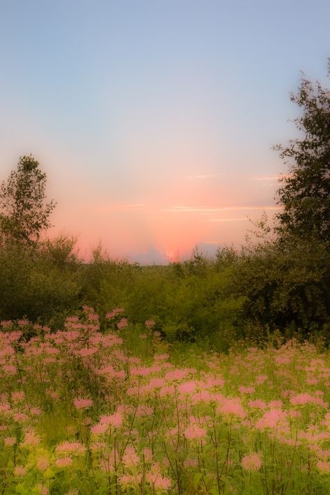 Dreamy Meadow, Flowery Meadow, French Landscape, Cute Images For Wallpaper, Pretty Landscapes, Nature Drawing, Cute Images, Flower Field, Mother Earth