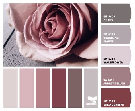 Expressive Plum, Diva Den, Painted House, Logo Colors, Bedroom Paint Colors, Design Seeds, Interior Paint Colors, Trendy Bedroom, Kool Aid