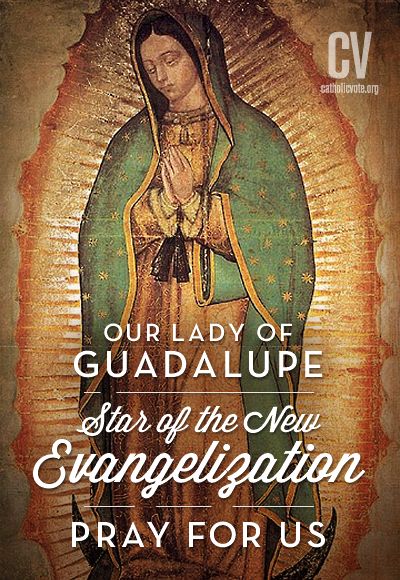 Happy Feast of Our Lady of Guadalupe, Patroness of the Unborn!  //  CatholicVote.org Lady Guadalupe, Gospel Reading, Catholic Doctrine, Faith Formation, Miracle Prayer, Blessed Mother Mary, Our Lady Of Guadalupe, Lady Of Guadalupe, Religious Education