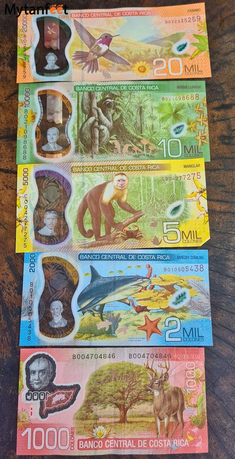 Handling money in Costa Rica: USD, Costa Rican currency, and more Costa Rica Culture Art, Costa Rican Culture, Costa Rican Aesthetic, Costa Rica Culture, Costa Rica Living, Costa Rica Aesthetic, Costa Rico, Costa Rica Art, Cost Rica