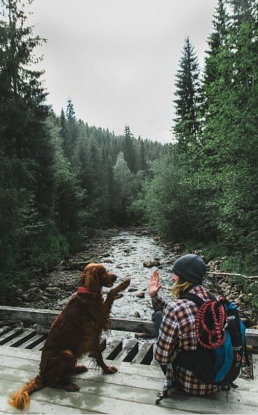 Hiking + Dog Camping With Dogs, Festival Camping, Hiking Dogs, Adventure Gear, Two Dogs, Rock Climbing, Tent Camping, Mans Best Friend, In The Woods