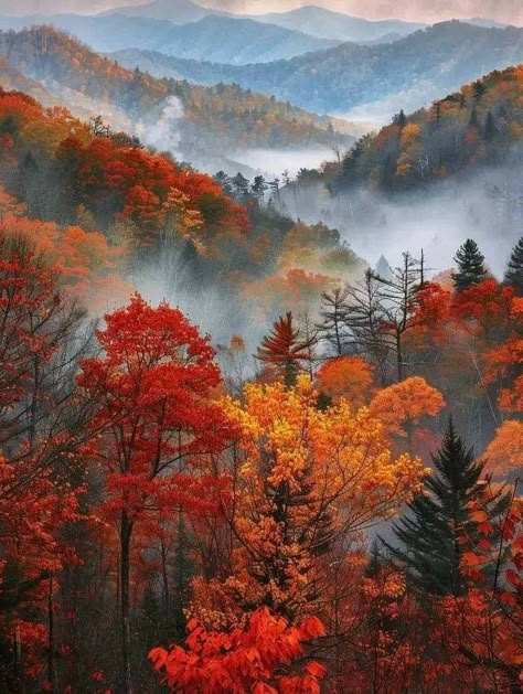 Fall Screensavers, Nature Clips, Fall Stickers, Fall Images, Pretty Landscapes, Autumn Scenes, Great Smoky Mountains National Park, Autumn Scenery, Smoky Mountain National Park