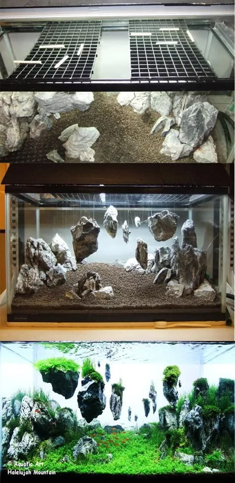 Floating Rock Aquarium, Avatar Themed Fish Tank, Fantasy Fish Tank Ideas, Lord Of The Rings Fish Tank, Fantasy Fish Tank, Plant Aquarium Ideas, Axolotl Tank Ideas, Fish Tank Themes Ideas, Floating Rocks