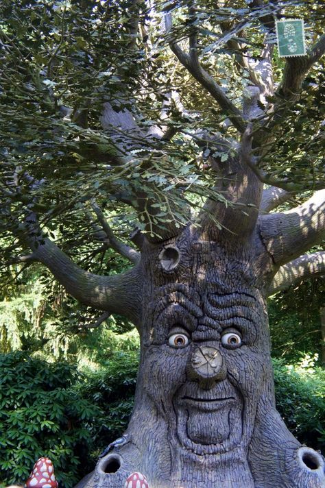 Efteling: Feeling Like "Alice in Wonderland" - eTramping.com Strange Images, Boom Kunst, Tre Kunst, Tree Carvings, Weird Trees, Tree Spirits, Amazing Trees, Tree People, Tree Faces