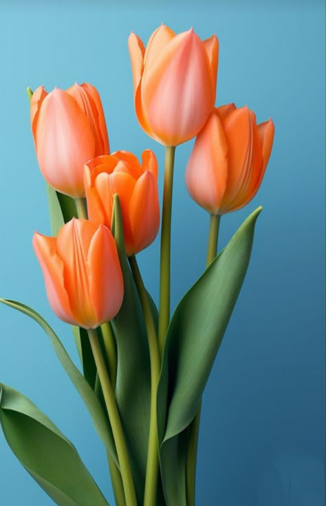 Tulips 🌷wallpaper 🌷 Tulips Wallpaper, Flower Identification, Nature Projects, Tulips Art, Fleur Orange, Orange Tulips, Flowers Orange, Tulips In Vase, Beautiful Wallpaper For Phone